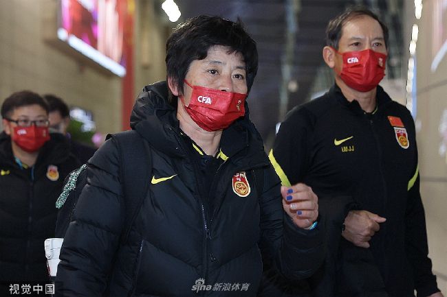 天天干天天插伊人网